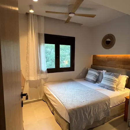 Bay Leaves * Vourvourou