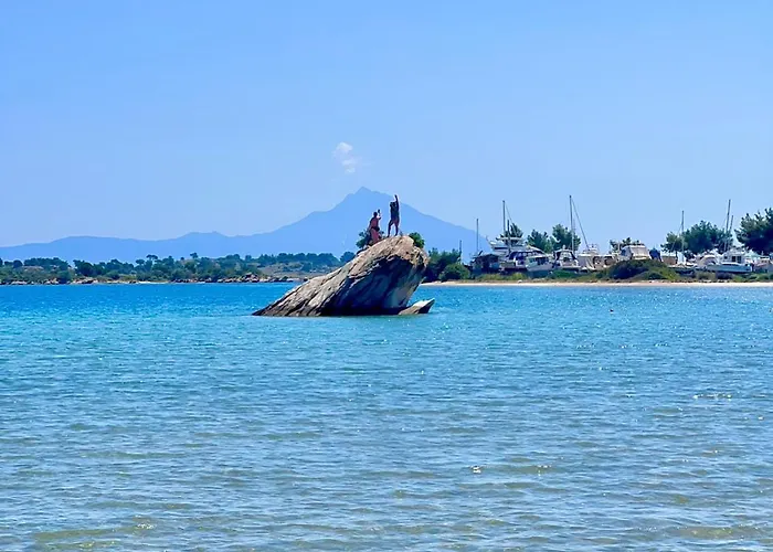 Bay Leaves * Vourvourou