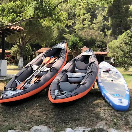 Bay Leaves فوروفورو