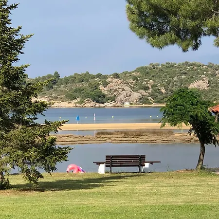 Bay Leaves * فوروفورو