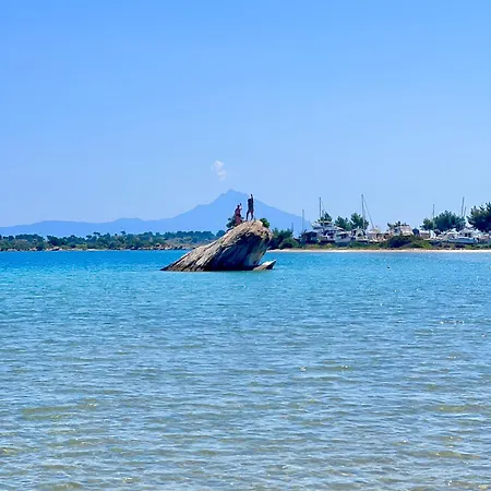 Bay Leaves * فوروفورو